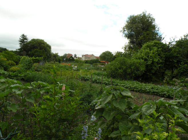  zone de jardins potagers